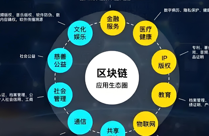 成功案例5